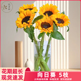 悦多彩优质水养鲜切花 母亲节三八节花束 昆明基地现采直发顺丰生活鲜花 5支向日葵（中大花）