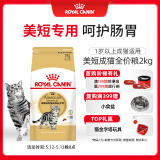 皇家猫粮 美短成猫粮 ASA31 通用粮 12月以上 2KG