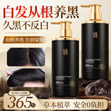 谜草集山茶香水洗发水去屑止痒控油持久蓬松沐浴露护发素留香大容量1.2L 【养护乌黑秀发】轻度1瓶装500ml