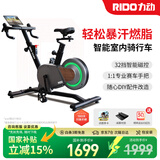 力动（RIDO）动感单车 智能坡度家用单车健身器室内自行车健身车支持zwift顽鹿 CX20（多档电磁操控）