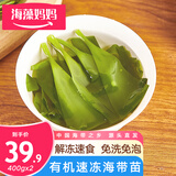 海藻妈妈速冻海带苗1.6斤 (400g*2) 霞浦免洗免浸泡  源头直发