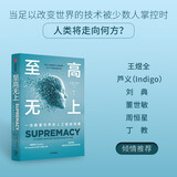 至高无上 一场颠覆世界的人工智能竞赛 AI OpenAI DeepMind 通用人工智能 大语言模型 ChatGPT DeepSeek