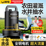 闲鸟直流潜水泵抽水泵农用污水泵48v抽水家用水井高扬程农田灌溉浇菜 1寸48/60V【16米线21米管】豪礼 电动车电瓶车充电井水自动抽水机