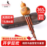 相思鸟 葫芦丝乐器 三音降B调 白铜红木梅花扣b调葫芦丝初学 XS1119