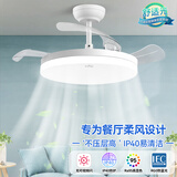 雷士（NVC） 风扇灯LED吊扇灯隐形扇现代简约变频餐厅卧室客厅遥控高显色灯具 荐！清风36瓦36寸丨IP40防蚊虫