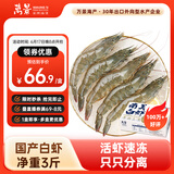 万景北海鲜冻国产白虾巨无霸 单冻无冰净重3斤/盒 30-45只  烧烤海鲜