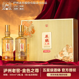 泸州老窖股份出品 原酿天典金色之尊 官方正品 五星级品质 浓香型白酒 52%vol 500mL 2瓶 礼盒装（赠礼袋）