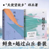 越过山丘 鲟鱼 2册套装 邱兵  天使望故乡 发起人 当下中国人的众生相 草根命运 江湖情义 探寻生命意义 中信出版社果麦文化