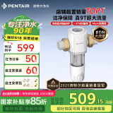 滨特尔（pentair）前置过滤器大通量家用全屋自来水管道40μm过滤器9吨/H大流量水驱涡轮+反冲洗刮洗净水器 【升级9T/H】S160前置过滤器