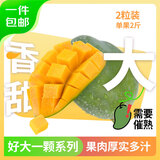 京鲜生 攀枝花好大一颗凯特芒 2斤巨无霸 2粒4斤装  生鲜水果 源头直发