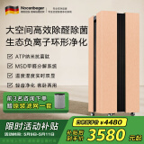 诺森柏格（Nocenbeger） 空气净化器家用除细菌负离子净化除甲醛2手烟过敏源H8 香槟金