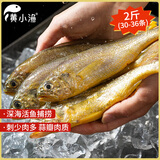 黄小渔宁德海捕小黄鱼净重2斤30-36条 冷冻黄花鱼烧烤食材 生鲜年货送礼