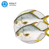 环球水产 南海金鲳鱼700g 2条 BAP认证深海鱼 冷冻 生鲜鱼类海鲜 家庭聚餐