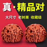 山中玉文玩核桃狮子头手把玩古麻核桃核头蛤蟆手盘把件男女送520送礼物 [全品]入门级40-41四座楼1对