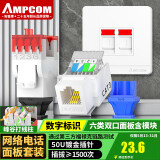 安普康（AMPCOM）六类网络电话免打模块 双口面板千兆CAT6网线插座 86型二位RJ45/11非屏蔽镀金网口白色AMC117278