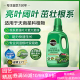 美乐棵 天南星科营养液家庭园艺花肥肥料园艺种植液浓缩植物营养液500ML