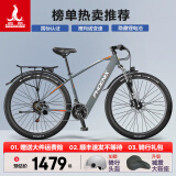 凤凰（Phoenix）锂电池助力电动自行车26寸成人新国标电动车长续航电瓶车 599灰色-21速辐条轮-速度传感 20AH电动续航80公里