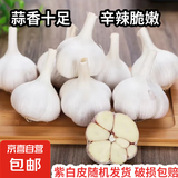 紫白皮蒜即食水果大蒜今年新鲜干蒜超市生鲜调料蒜瓣 大蒜净重 4.7斤