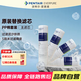 爱惠浦（Everpure）家用厨下 10寸/5微米 前置过滤各品牌通用净水器 PP棉滤芯4支装