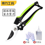 得力（deli）果树剪枝剪刀修枝剪省力剪子园林盆栽花卉园艺修剪树枝剪粗枝 弯嘴花木剪DL2770