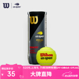 Wilson威尔胜美网联名RD罐装网球 3只装