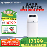 滨特尔（pentair） 鲸小白迷你软水机家用中央净水器别墅全屋水处理系统过滤设备 迷你软水机