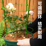 生长魔励植物攀爬支架花盆爬藤花架月季固定支柱蟹爪兰铁线莲花卉支撑架子 新款爬藤架120CM套装【2套起拍】