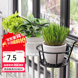 索尔诺（SuoErnuo）  悬挂花架 阳台铁艺简约悬挂花架挂架 多肉绿萝架装饰挂架 一只装-黑色【托底直径18*上环直径22】