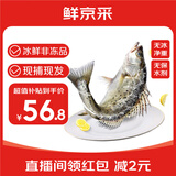 鲜京采 【冰鲜】白蕉海鲈鱼净重500-550g *3条 地标产品鱼类源头直发
