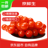 京鲜生 车厘小番茄 净重840g(420g*2盒)小西红柿 水果樱桃番茄 源头直发