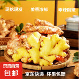 京东买菜云南小黄姜新鲜生姜子自营姜月子老黄姜蔬菜调料 5斤装 2500g