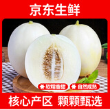 疆域采虹正宗陕西阎良甜瓜爆汁香瓜甜瓜新鲜水果当季现摘瓜生鲜水果整箱 尝鲜4.5斤精选装 净重约为4斤