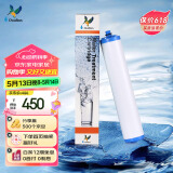 道尔顿（Doulton）【英国原装进口】净水器滤芯 KDF DIP301专用适配滤芯BioTect Ultra 9004型