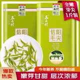 五云村2025新茶信阳毛尖绿茶春茶叶500g特级嫩芽自己喝2罐共1斤带礼袋