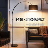 万火落地灯客厅钓鱼灯高级感立式台灯床头灯卧室沙发灯极简复古落地灯