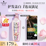 施华蔻（Schwarzkopf）怡然一按染3.0摩卡暖棕 染发剂植物染发膏+氨基酸洗发水400ml