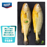海名威 冷冻黄花鱼700g/2条 宁德大黄鱼地标 海鲜水产 生鲜鱼类