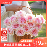 京东鲜花梦雪玫瑰花10枝山东基地送女朋友毕业季礼物枝长50-55cm源头直发
