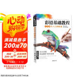 经典全集《彩铅基础教程》零基础入门教材自学手绘临摹初学者儿童成人物书籍风景动物多肉植物花卉美食篇画册京东618活动