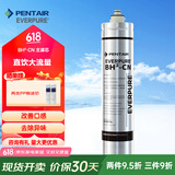 爱惠浦（Everpure）家用净水器直饮机净饮机主滤芯 BH2-cn主滤芯