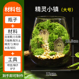 苔映苔藓微景观创意桌面微观造景植物摆件礼物减压绿植生态瓶diy材料 精灵小镇-材料包-瓶子+素材+工具