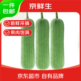 京鲜生 台湾短棒肉丝瓜 3斤装单果220g起 新鲜蔬菜 源头直发包邮