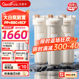 佳德净（GADEPURE）大白瓶前置过滤器家用大胖滤瓶水龙头自来水除余氯阻垢全屋前置过滤净水器10寸 小型中央净水机 【20寸PP+BBC+RCF】抑菌软化
