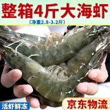 大虾鲜活新鲜冷冻超大虾子批发一整箱青虾基围虾海鲜水产 20厘米左右 3斤(净重)  左右 4斤/盒