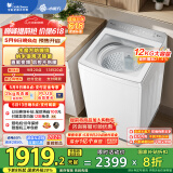 小天鹅（LittleSwan）波轮洗衣机全自动 12公斤 小乌梅2.0轻奢版【TB12VE20DW】水魔方防缠绕 家电国家补贴20%