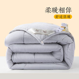 远梦被子秋冬大豆纤维冬被加厚保暖冬季被子四季被双人四季通用 琥珀银（A类+30%大豆纤维） 150*215cm（四季被）