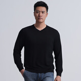 龙牙隐之云榕美丽诺羊毛圆领/V领/半高领毛衣秋冬男士内搭休闲上衣 极夜黑（V领） M 175/96A