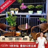 紫叶（ziye） 户外桌椅 藤椅组合 阳台桌椅三件套 休闲庭院小茶几室外藤编餐桌 2【升级藤椅】+1【D58圆桌】