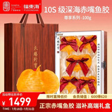 福东海10S级赤嘴鱼胶100g 正宗湛江深海赤嘴鳘鱼胶花胶干货孕产滋补礼盒