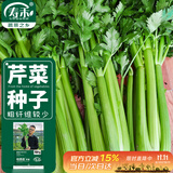 寿禾 大芹菜种子苗西芹实芹秋季蔬菜籽 桔西亚大芹菜种子10g约1.2万粒
